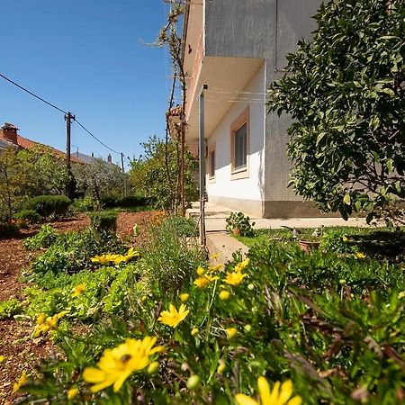 Apartman Mia شيبينيك المظهر الخارجي الصورة